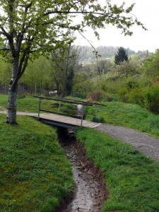 Bachlauf mt Brückle