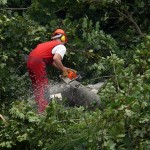 Ist nicht im Wald sondern in der Ostendstraße