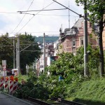 Gerodete Stelle in der Ostendstraße