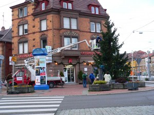 Nun hat auch Ostheim seinen Weihnachtsbaum