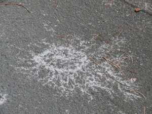 Eisregen machte den Rettungskräften zu schaffen