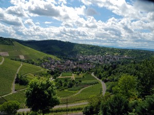 Blick über Uhlbach