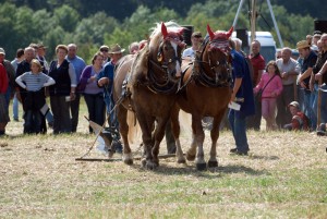 Feldtag Hohenheim