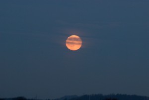 Aufgehender Vollmond über dem Schwarzwald