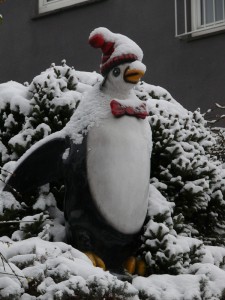 Schneepinguin