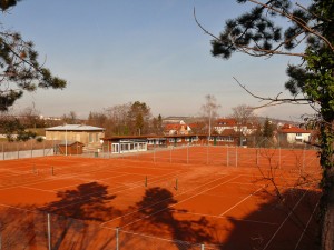 Tennisclu Ameisenberg