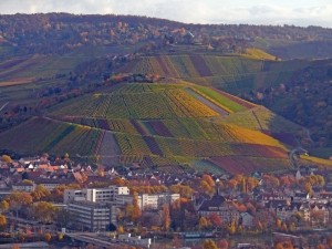 Mönchsberg und Württemberg 