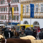 Leonberger Pferdemarkt