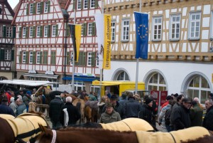 Leonberger Pferdemarkt