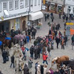 Leonberger Pferdemarkt