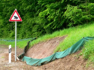 Achtung! Krötenwanderung