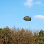 Landung im Wald