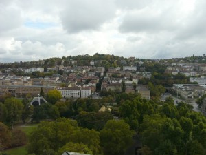 Bäume-schlossgarten8