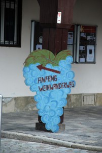 Anfang-der-Weinwanderung