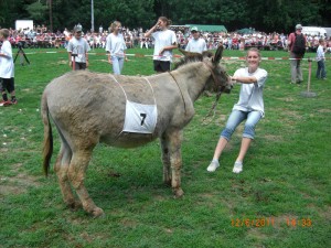 Ein störrischer Esel ;)