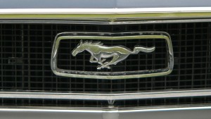 Mustang1