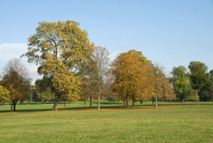 Rosensteinpark