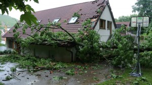 Sturmschaden-Waldheim Hedelfingen