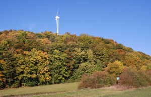 Wald-und-Windkraft