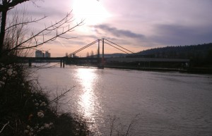 Am-Neckar-Dez2012-1