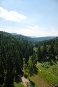 Schwarzwald1