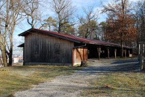 Bergwaldhalle-Renningen1