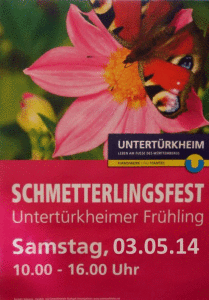 Schmetterling2014