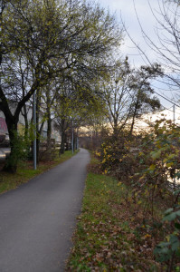 K-Neckarradweg-1