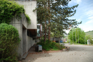 K-Steinenbergschule-12