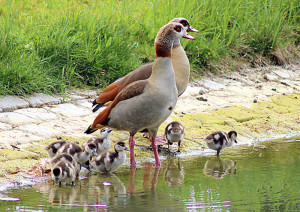 KR-Familienausflug